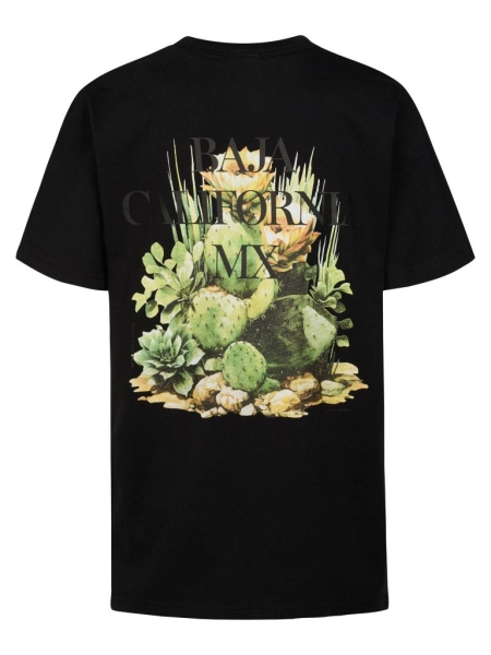 Petrol t-shirt classic print black (B-1060-TSR654-9999)