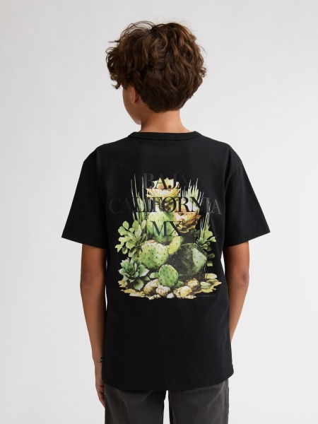 Petrol t-shirt classic print black (B-1060-TSR654-9999)