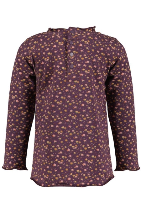 4President longsleeve Dieke fall flower aop plum perfect
