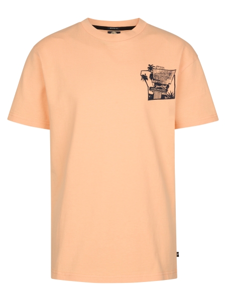 Petrol shirt (B-1060-TSR649-2125)