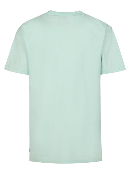 Petrol shirt (B-1060-TSR689-6181)
