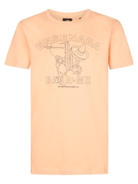 Petrol shirt (B-1060-TSR861-2125)