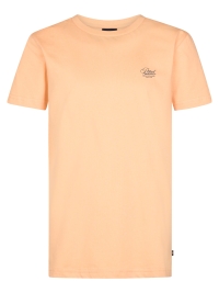 Petrol shirt (B-1060-TSR862-2125)