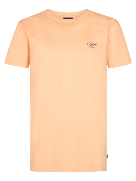 Petrol shirt (B-1060-TSR862-2125)