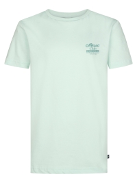 Petrol shirt (B-1060-TSR863-6181)