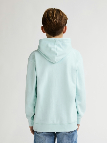Petrol hoodie (B-1060-SWH300-6181)