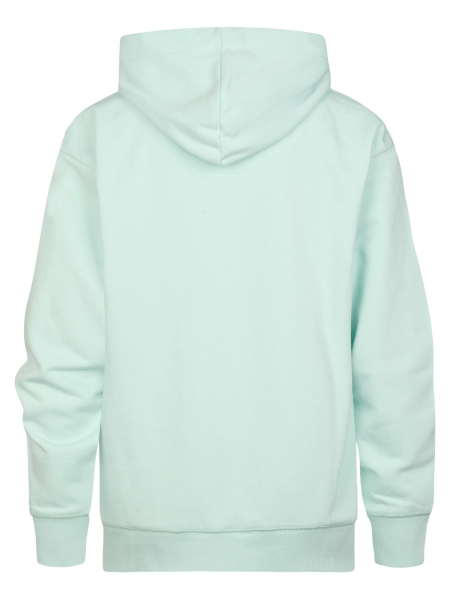 Petrol hoodie (B-1060-SWH300-6181)