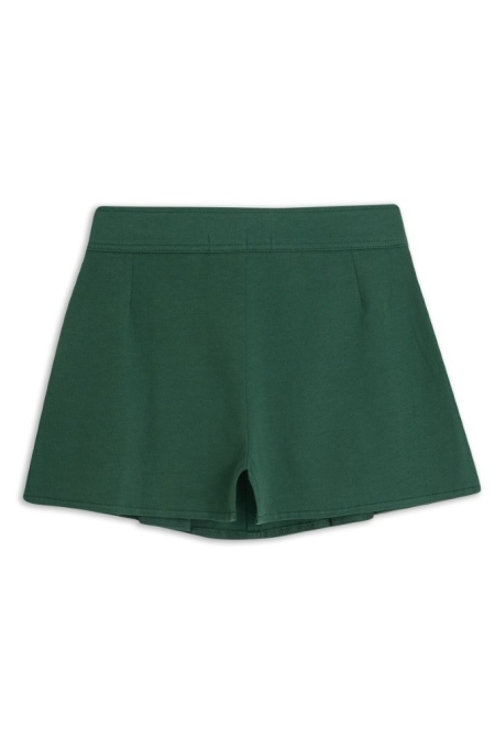 4President rok Aafke green