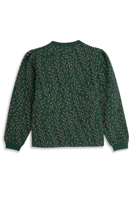 4President sweater Anna green print