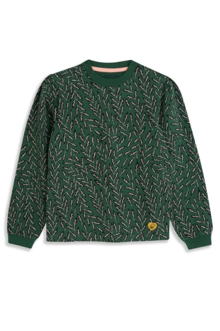 4President sweater Anna green print