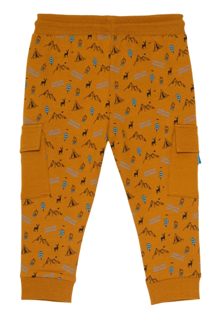 4President broek Bas sand aop camping