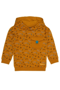 4President hoodie Boaz sand aop camping