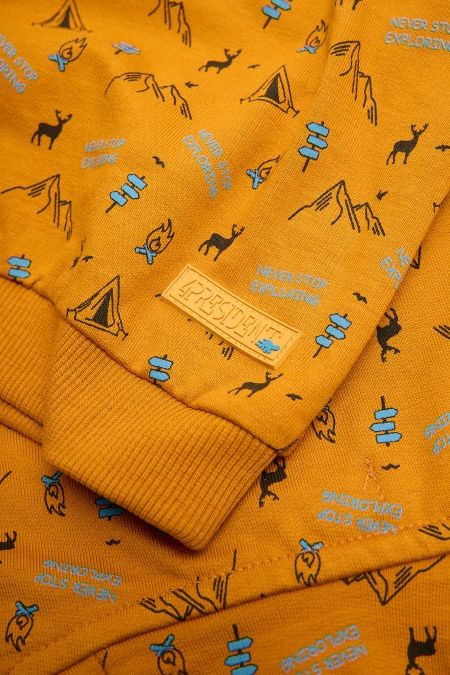 4President hoodie Boaz sand aop camping