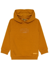 4President hoodie Borre sand