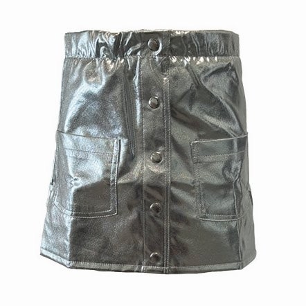 Dutch Dream Denim rok Chai silver (FW24-03)