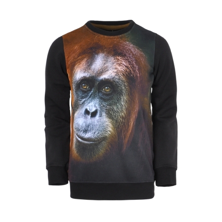Legends22 sweater Houke black aap (B24-812)