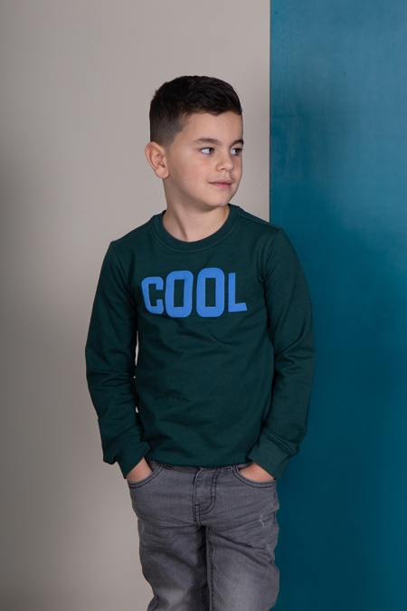 Legends22 dunne sweater Horace botanical green cool (B24-835)