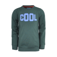 Legends22 dunne sweater Horace botanical green cool (B24-835)