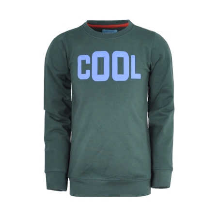 Legends22 dunne sweater Horace botanical green cool (B24-835)
