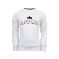 Lake Morgan sweater Pemme white (B01-706)