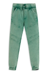 4President broek Noortje green