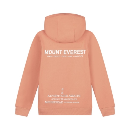 Skurk hoodie Sten peach