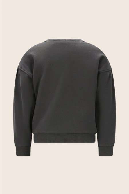 Like Flo sweater Danee antra (F508-5305-092)
