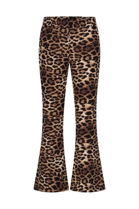 Moodstreet flared broek Bibi leopard (M508-5600-908)