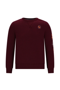 Tygo & Vito sweater Sven maroon (X508-6312-280)