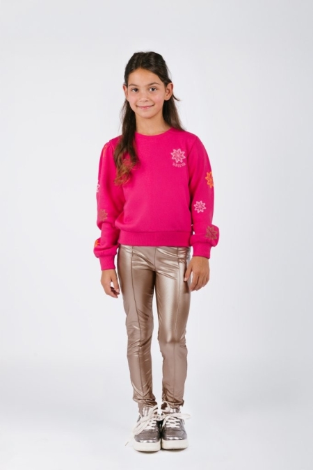 B.Nosy sweater Sophie cabaret (Y508-5324-231)