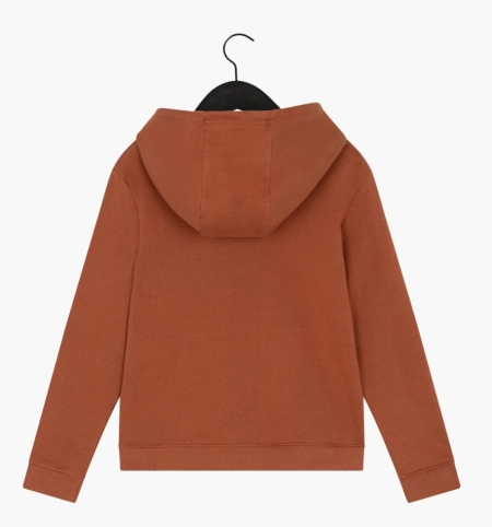 Cruyff Force hoodie bronze (CAJ26103-12002)