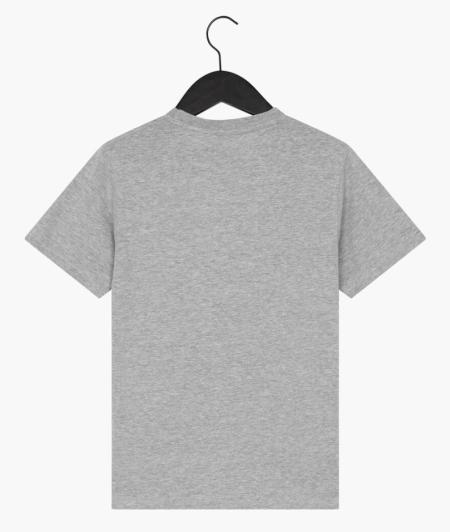 Cruyff Force t-shirt grey marl (CAJ263104-10004)